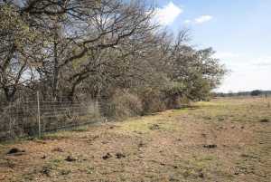 221 W Timber Ridge Dr (4)