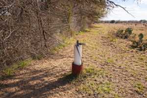 221 W Timber Ridge Dr (6)