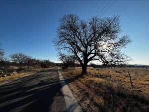 500 W Timber Ridge Dr