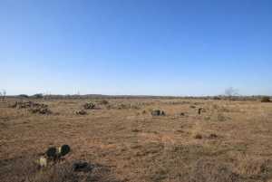 500 W Timber Ridge Dr (10)