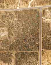 12813 Spring Creek Lane (10)