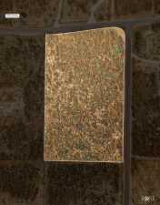 12813 Spring Creek Lane (11)