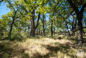 16033 Door Key Rd (50)