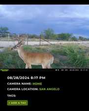 16033 Door Key Rd (72)