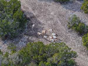 4603 County Rd 307 (29)