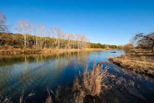 4603 County Rd 307 (22)