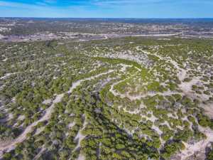 4603 County Rd 307 (31)