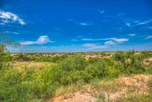 3901 Margaret Lane (37)