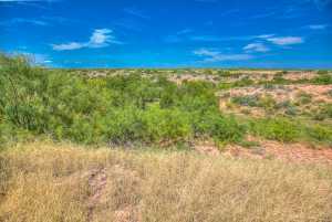 3901 Margaret Lane (38)