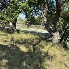 12182 Spring Creek Lane (3)