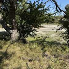 12182 Spring Creek Lane (4)