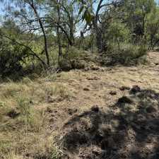 12182 Spring Creek Lane (6)