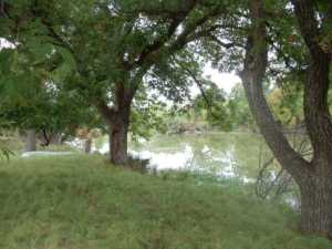12182 Spring Creek Lane (2)