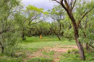 8968 N Hwy 208 (11)