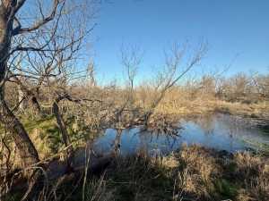 County Rd 288 (15)