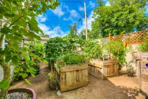 1411 Shafter St (18)