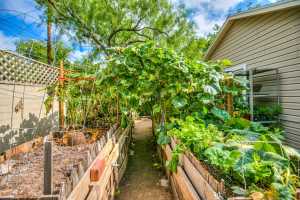 1411 Shafter St (21)