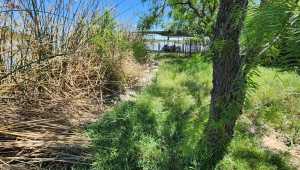 2902 Red Bluff Circle (16)