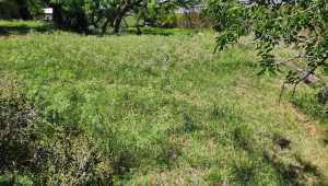 2902 Red Bluff Circle (10)