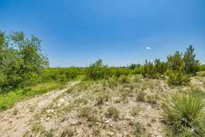 16930 Bur Oak Rd (33)