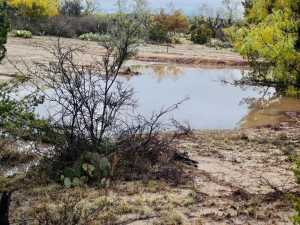 10357 Jerimiah Lane (20)