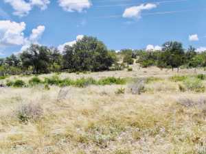 10357 Jerimiah Lane (22)