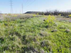 10357 Jerimiah Lane (58)