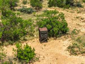 10357 Jerimiah Lane (59)