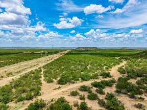 10357 Jerimiah Lane (62)