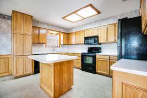 4201 Shefflera Dr (15)