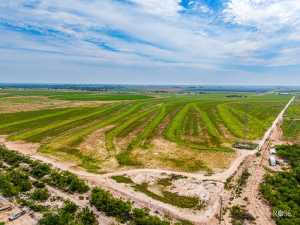 8241 S Ratliff Rd (7)