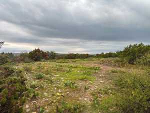 Well Pad Rd (19)