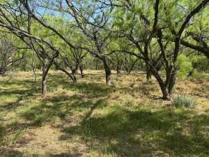 2198 River Valley Lane (29)