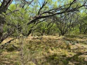 2198 River Valley Lane (32)