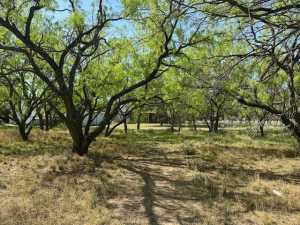 2198 River Valley Lane (33)