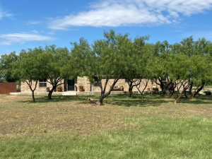 11725 Little Sorrel Trail