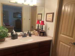 11725 Little Sorrel Trail (10)