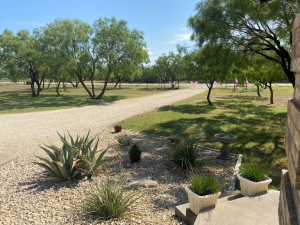 11725 Little Sorrel Trail (25)