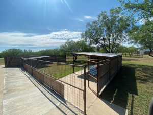 11725 Little Sorrel Trail (30)