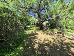 2107 N Lillie St (3)