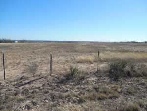 119 County Rd 351 (8)