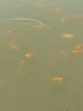 119 County Rd 351 (18)