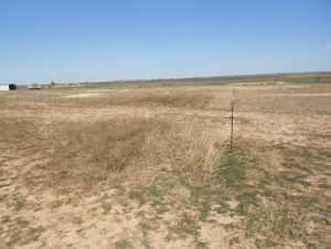 119 County Rd 351 (5)