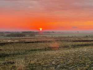 119 County Rd 351 (6)