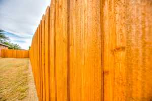 5829 Davenport Dr (17)