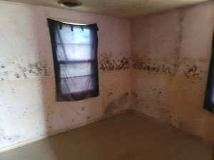 408 W Oak Ave (13)