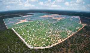 2100 Hurley Rd (15)