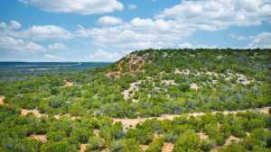 2100 Hurley Rd (32)
