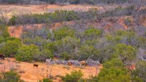 2100 Hurley Rd (44)