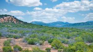 2100 Hurley Rd (45)